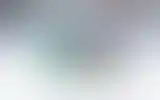 Blurred archive preview