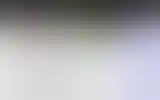 Blurred archive preview