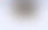Blurred archive preview