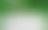 Blurred archive preview