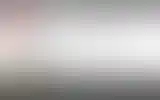 Blurred archive preview