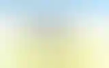 Blurred archive preview