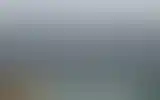 Blurred archive preview