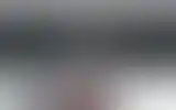 Blurred archive preview