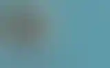 Blurred archive preview