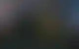 Blurred archive preview
