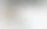 Blurred archive preview