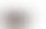 Blurred archive preview