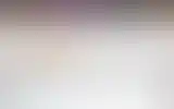 Blurred archive preview