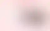 Blurred archive preview
