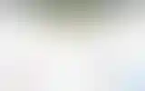 Blurred archive preview