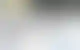 Blurred archive preview