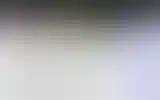 Blurred archive preview