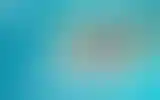 Blurred archive preview
