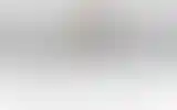Blurred archive preview