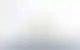 Blurred archive preview
