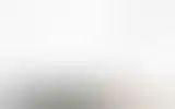 Blurred archive preview