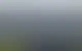 Blurred archive preview