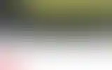 Blurred archive preview