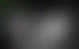Blurred archive preview