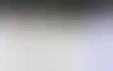 Blurred archive preview