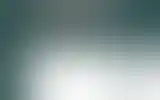 Blurred archive preview