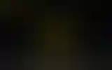 Blurred archive preview