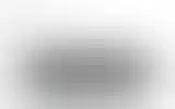 Blurred archive preview