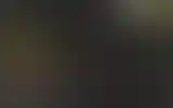 Blurred archive preview