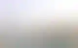 Blurred archive preview