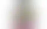 Blurred archive preview