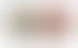 Blurred archive preview