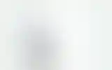 Blurred archive preview