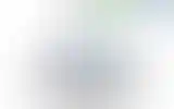 Blurred archive preview