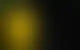 Blurred archive preview