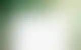 Blurred archive preview