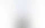 Blurred archive preview