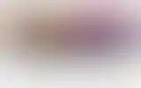 Blurred archive preview