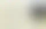 Blurred archive preview