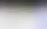 Blurred archive preview