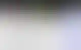 Blurred archive preview