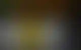 Blurred archive preview
