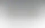 Blurred archive preview