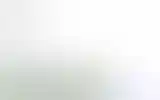Blurred archive preview