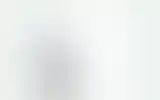 Blurred archive preview