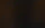 Blurred archive preview