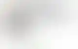 Blurred archive preview
