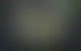 Blurred archive preview