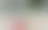 Blurred archive preview