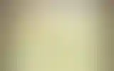 Blurred archive preview